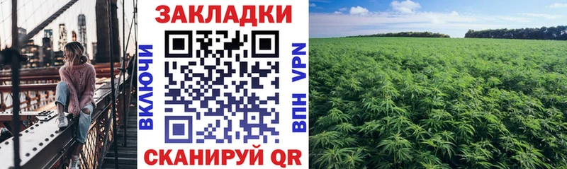 Купить наркотики цена Коммунар NBOMe  Кокаин  Гашиш  Меф мяу мяу  Бошки Шишки  APVP 
