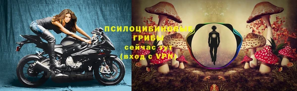 apvp Балабаново