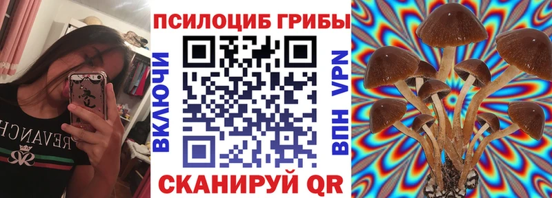 Галлюциногенные грибы GOLDEN TEACHER  где найти   Коммунар 