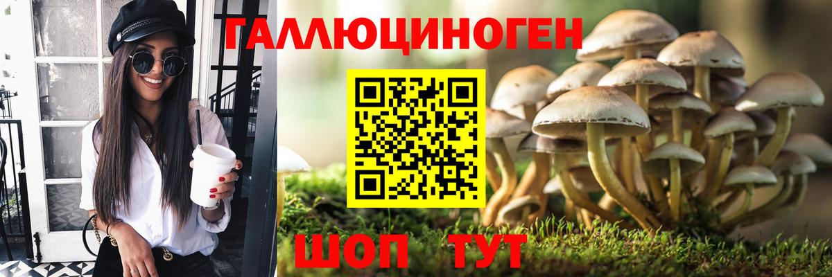 Бошки Шишки Коммунар