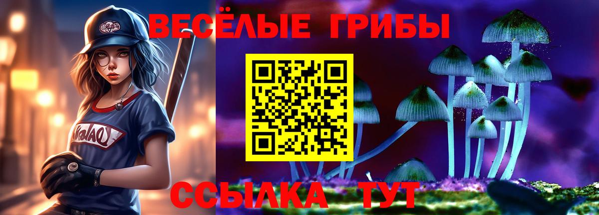 Коммунар  Псилоцибиновые грибы Psilocybine cubensis  Вход с VPN 